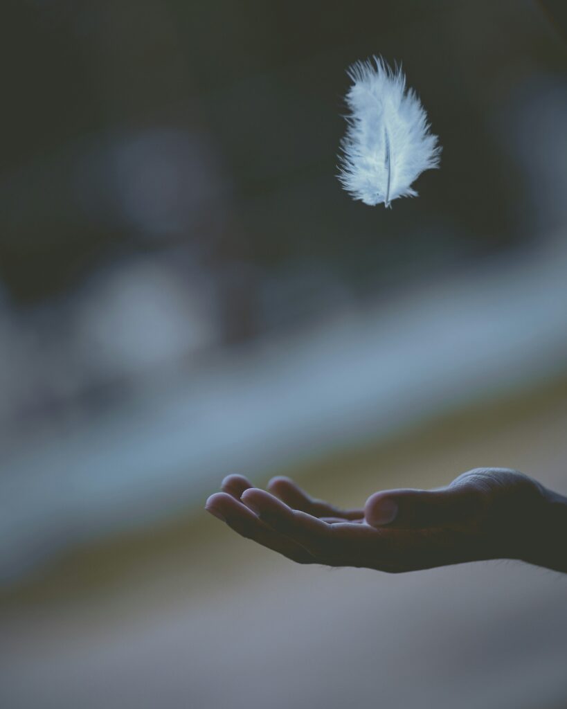 Javardh, Unsplash